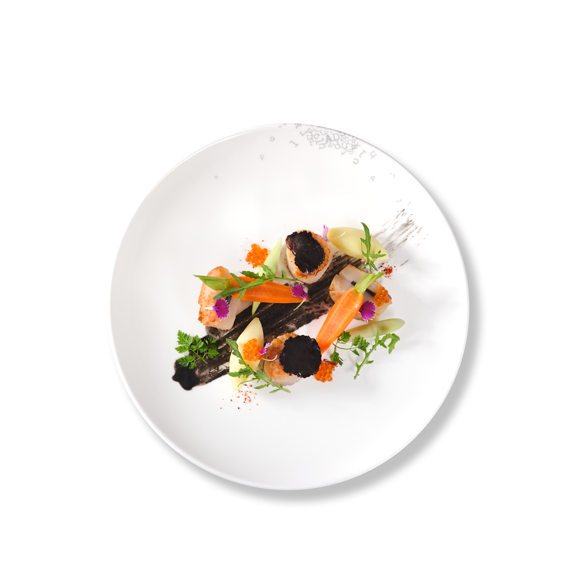 SCALLOP