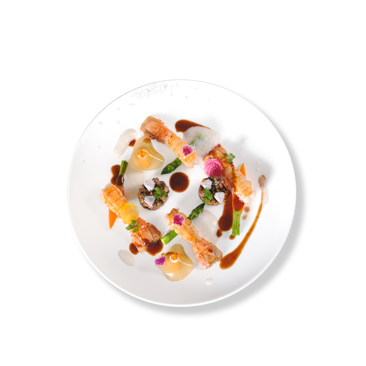 LANGOUSTINE