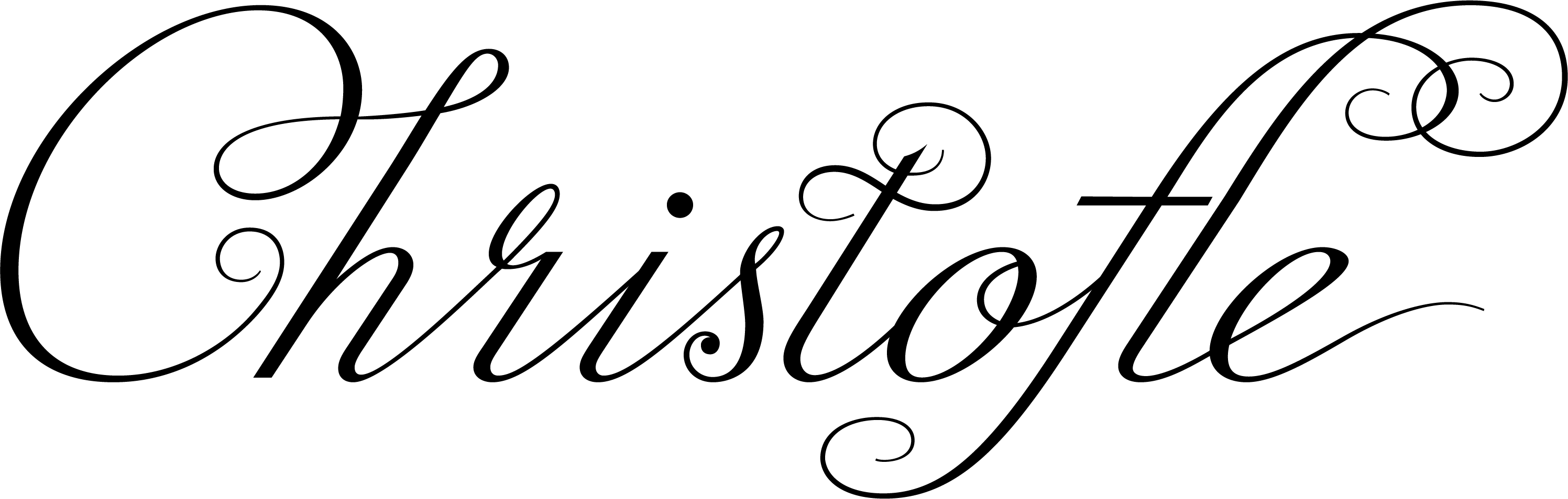 Logo company